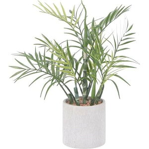 sf tFCNO[ e[uV y[p[|bg FB-309193A-WT iR[h41130 yEwELZsEkCꗣzsz -惊- 4953980411303-ds