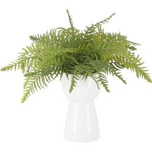 sf tFCNO[ V_ Z~bN|bg FB-370729 iR[h41131 yEwELZsEkCꗣzsz -惊- 4953980411310-ds