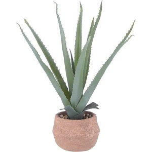 sf tFCNO[ AG S Zg|bg FB-3091663 iR[h41134 yEwELZsEkCꗣzsz -惊- 4953980411341-ds