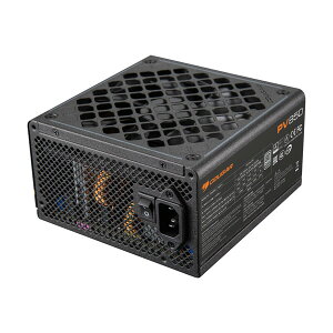 COUGAR �d�����j�b�g GM Plus 850 (PV 850) 80PLUS Platinum�F�� �t�����W�����[���� 850W�d�� ATX3.1 PCIE5.1�F�� �y�L�����Z���s�E�k�C�����ꗣ���z���s�z 4541995045738-ds