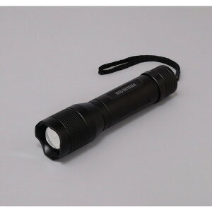 �A�C���X�I�[���} LED�n���f�B���C�g�Y�[���@�\�t��500lm LWK-500Z 0501-4967576286725-ds -�����񂹕i-