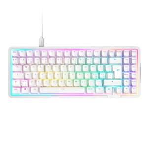 NZXT Q[~OL[{[h Function Elite MiniTKL KB-101NW-US sbhgK[ CeBO\ zCg yLZsEkCꗣzsz -- 4943508304736-ds