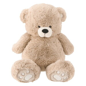 �s��f�� �ʂ������ ���� 50cm BE ���i�R�[�h19553 �y����E�����w��E�L�����Z���s�E�k�C�����ꗣ���z���s�z -���惊��- 4953980195531-ds