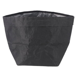 sf Jo[ Ntg 7 BK 1 iR[h45398 yEwELZsEkCꗣzsz -惊- 4953980453983-ds