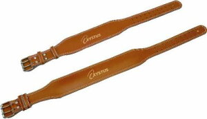 トーエイライト(TOEI LIGHT) ウエイトトレーニング関連品 ウェイトトレーニングベルト H-7454M【代引・日時指定・北海道沖縄離島配送不可】-お取り寄せ品-