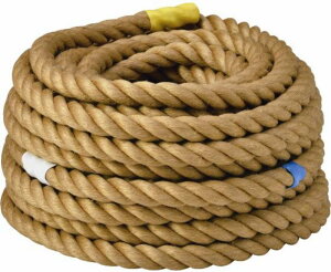 y󒍐YiELZszg[GCCg j[v Zpj[v36mm B-3934yEwEkCꗣzszyƁEwZE{ݓ̔ẑݑΉzylz