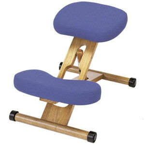 {쏊 v|[V`FA u[ CH-88W BL -񂹕i-ykCꗣ͔zsz