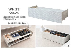 {쏊 ^V[YJ[g Carton lH^ ʔ C8[ 80×s30×28cm SC-800 zCg -񂹕i-ykCꗣ͔zsz