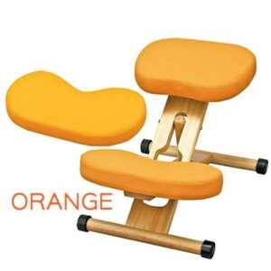 {쏊 NbVtv|[V`FALbY IW CH-889CK OR -񂹕i-ykCꗣ͔zsz