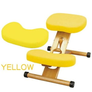 {쏊 NbVtv|[V`FALbY  CH-889CK LE -񂹕i-ykCꗣ͔zsz