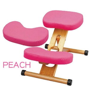 {쏊 NbVtv|[V`FALbY s[` CH-889CK PC -񂹕i-ykCꗣ͔zsz