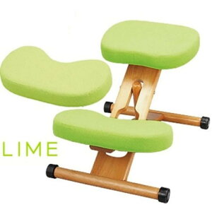 {쏊 NbVtv|[V`FALbY C CH-889CK LM -񂹕i-ykCꗣ͔zsz