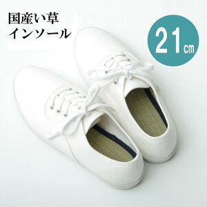 CPqR C\[ WjA L R uC\[v lCr[ 21cm Vv lCr[ 3658519yszykCꗣ͔zsz-񂹕i-