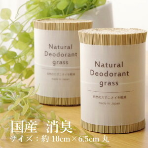 CPqR { Y L  VRf fIOX є 10×6.5cm Vv zCg 7539909yszykCꗣ͔zsz-񂹕i-