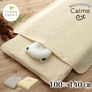 CPqR Q xr[ q Ԃ |zc 100 Cu 􂦂 Mtg AC{[ 100×140cm JWA AC{[ 9845543yszykCꗣ͔zsz-