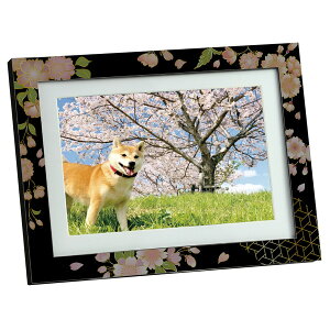 ARTEC A[ebN tHgt[  ̑ELOi 92914 yLZsEkCꗣzsz-񂹕i- 4521718929149-ds