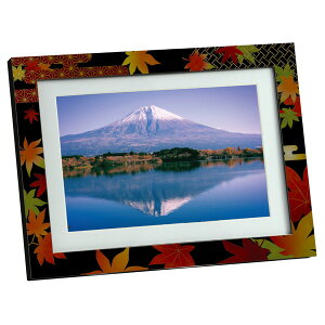 ARTEC A[ebN tHgt[ gt ̑ELOi 92916 yLZsEkCꗣzsz-񂹕i- 4521718929163-ds