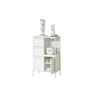 NVI NEWA[g HI60-100 48002 yEwELZsEkCꗣzsz -- 4954877480020-ds