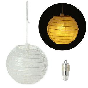 ARTEC �A�[�e�b�N �~�j���傤���� LED���C�g�t �}�H�E�H��E�N���t�g�E�z�r�[ 12392 �y�L�����Z���s�E�k�C�����ꗣ���z���s�z-�����񂹕i- 4521718123929-ds