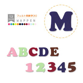 フェルトアルファベット・数字 ワッペン 大 ピンク 薄みどり えんじ 紺色 茶色 型抜き フエルト 文字ワッペン イニシャル 入園 入学 アイロン接着