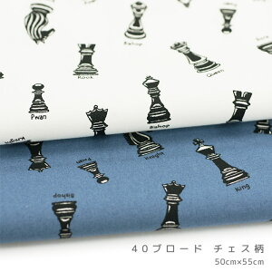 Jbgn 40u[h `FX 50cm×55cm 100 Rbg n JbgNX   | Ntg lR|XΉ