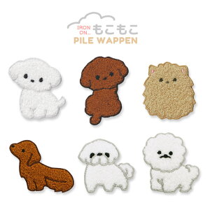 pCby   v[h |jA }`[Y _bNX yLj[Y rVt[[ Aj}  TKhJ 킢 }XN AbvP ACڒ