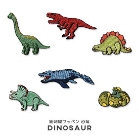 オリジナル刺繍ワッペン 恐竜 オリジナル ティラノサウルス ブラキオサウルス モササウルス ステゴサウルス トリケラトプス たまご 総刺繍 動物 かわいい マスク アップリケ アイロン接着