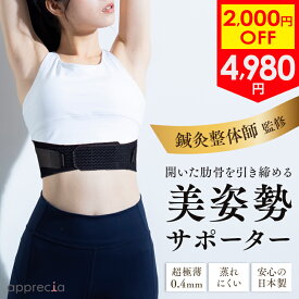 ＼2,000円off セール／肋骨サポーター 日本製 肋骨締め ベルト くびれ 肋骨 ろっ骨 あばら 締める 人気商品 コルセット アンダーバスト 美姿勢サポーター 姿勢 テレワーク 家事 在宅 猫背 ウォーキング スタイル 女性 レディース 歩行 産後 プレゼント STYLE ARTIST RIB