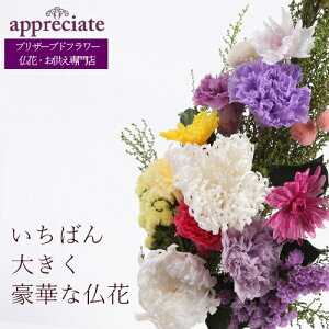 ΂傫؂ȃvU[uht[ 1{^Cv vU[uht[ ԐX appreciate 