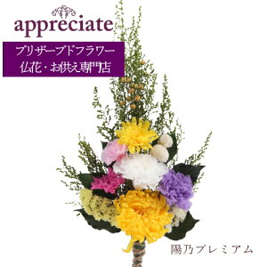 zTv~A 1{^Cv vU[uht[ ԐX appreciate 