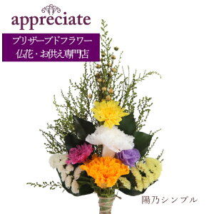 zTVv 1{^Cv vU[uht[ ԐX appreciate 