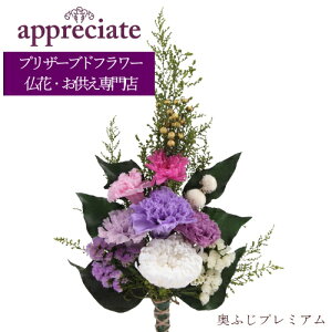 ӂv~A 1{^Cv vU[uht[ ԐX appreciate 