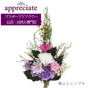 ӂVv 1{^Cv vU[uht[ ԐX appreciate 