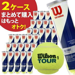 yX[p[SALE聚ő2000~OFFN[|zEB\ cA[X^_[h WILSON TOUR STANDARD 2 30120 d ejX{[ K