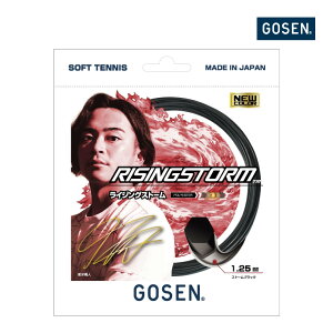 y420`28H聚ő|Cg47{zGOSEN@CWOXg[@Xg[ubN@SSRS11-SB@ 2023FW@11M@RISINGSTORM@S[Z@㋉vC[@ ejX \tgejXy|Xg