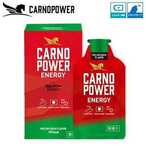 �n�}���̌��N�H�i �J���m�p���[ENERGY �������\�[�_ 40g×10�� MELON SODA Flavor �X�|�[�c�T�v�� �G�l���M�[�⋋�W�F�� CARNOPOWER �G�i�W�[