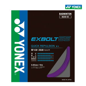 �y�y�VSS����I�ő�2,000�~OFF�N�[�|���zYONEX�@�G�N�X�{���g65�@EXBOLT65�@���l�b�N�X�@BGXB65�@�o�h�~���g���@�X�g�����O�@�K�b�g�@�e���@�P����@0.65mm