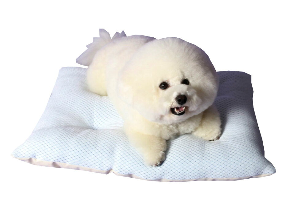 楽天市場 | 犬ベッド、猫ベッドのappydog - オーガニックコットンを 