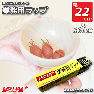 EAST BEE Ɩpbv 22cm/100m [Ɩp bv tB Hiۑ Sbv wrap vdl ARvX`bNn vn] (582039)