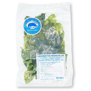 G[ oC}bN 100g ( Ԃ݂ / oC}N[ / xgi / ^C )[Ɩp Ⓚ] (1106130)