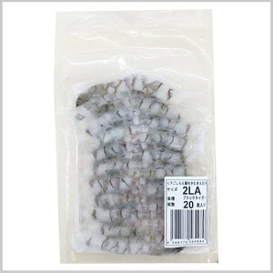 j`CtbV 炦 ubN^CK[ tނ 2LA 20 ( CV / BT / Gr )