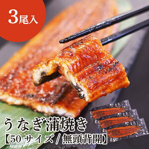 Ȃ Ă 3 ( 50TCY / ^pbN / EiM / Ă / V / wJ / 11,593~ )