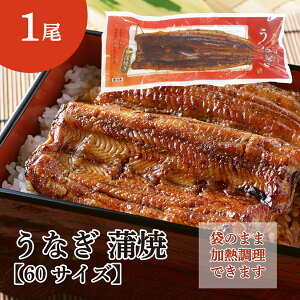 Ȃ  1 ( V / EiM / Ă / ^pbN / ΏĂ )