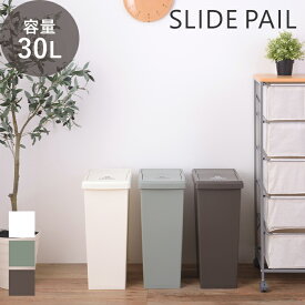 【当店限定特典付】ゴミ箱 ダストボックス 30L 日本製 プッシュ 蓋 キャスター付き 蓋つき ロック 北欧 スリム マット 大容量 袋止め 分別 キッチン リビング ポリプロピレン 上品 スタイリッシュ シンプル グリーン ブラウン