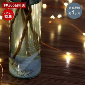 【365日出荷&当店限定特典付】ディフューザー スティック ガラスボトル アロマ リードディフューザー ルームフレグランス 300mlアンバー シトラスバーベナ 流木 貝がら 香り 海 爽やか MRU-51 mercyu メルシーユー プレゼント