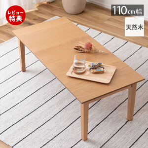 yؓT2tzZ^[e[u e[u rOe[u [e[u  ؐ i` ЂƂ炵 110 rO CeA Vv RpNg  V J