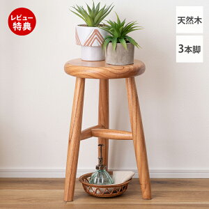 yXTtzXc[ RpNg ȃXy[X lp ֎q `FA CX _CjO   ؍ CeA k ؐ VR ی^ ۈ֎q ۃCX Eh y 3{r V