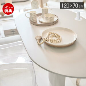 yؓT2tz_CjOe[u 2l 3l 4l 120cm s70cm ȉ~ ~ I[o 1{r zCg ؍CeA JtF ۃe[u ~`  XgCvr DV H  