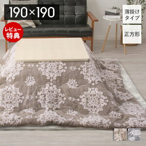 yXTtzzc ` ȃXy[X | R^czc Jo[ 190×190  唻 킢  ᕿ Ⴢ`[t tl 킽 |zc |zc n 