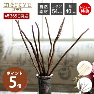 【365日出荷&当店限定特典付】リードディフューザー スティック 交換 交換リード リード単体 スティック単体 リードスティック 交換用 取り換え 取り替え おしゃれ ラタン 柳 自然素材 枝 棒